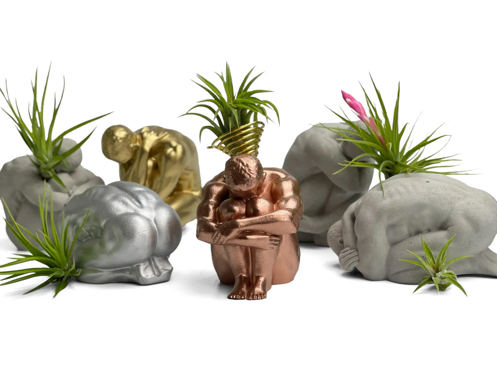 Glass Air Plant Holder for Men, Unique Body Shape Decor, detail shot - House Of Avana