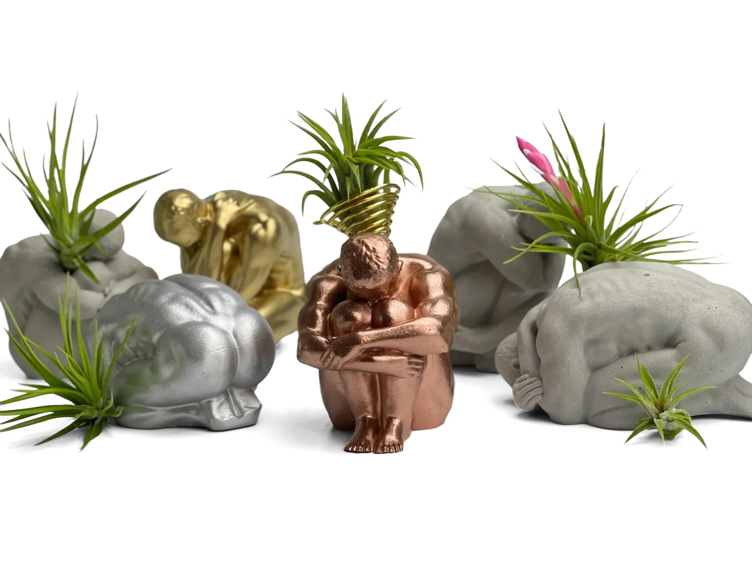 Glass Air Plant Holder for Men, Unique Body Shape Decor, detail shot - House Of Avana