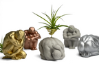 Glass Air Plant Holder for Men, Unique Body Shape Decor, lifestyle image - House Of Avana