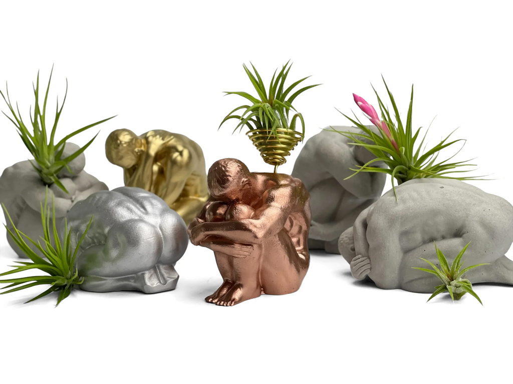 Glass Air Plant Holder for Men, Unique Body Shape Decor, angled view - House Of Avana