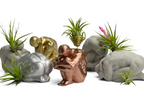 Glass Air Plant Holder for Men, Unique Body Shape Decor, angled view - House Of Avana
