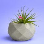 Glass Geometric Air Plant Holder with Unique Shape and Design, front view - House Of Avana
