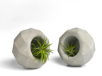 Glass Geometric Air Plant Holder with Unique Shape and Design, close-up view - House Of Avana