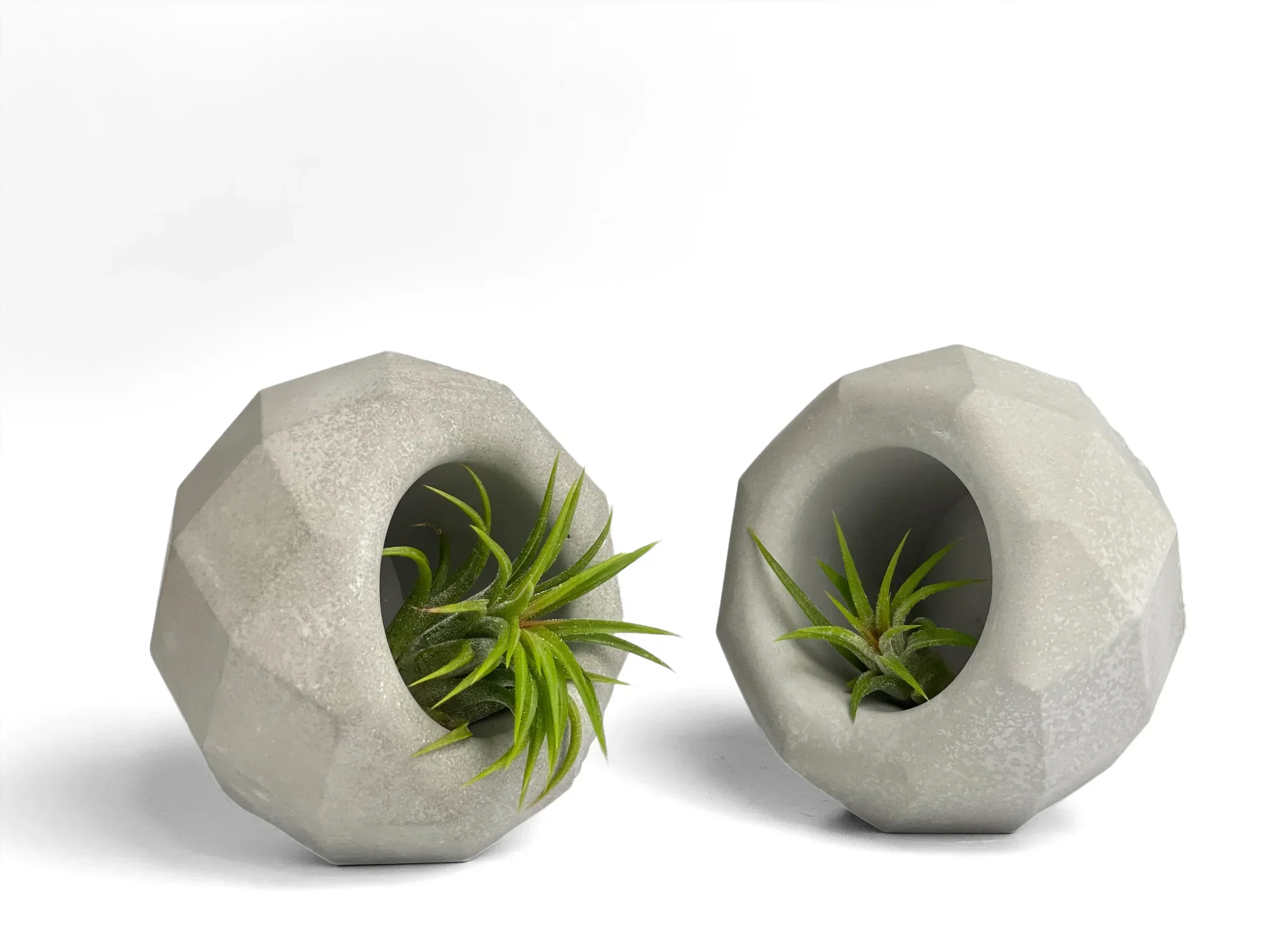Glass Geometric Air Plant Holder with Unique Shape and Design, close-up view - House Of Avana