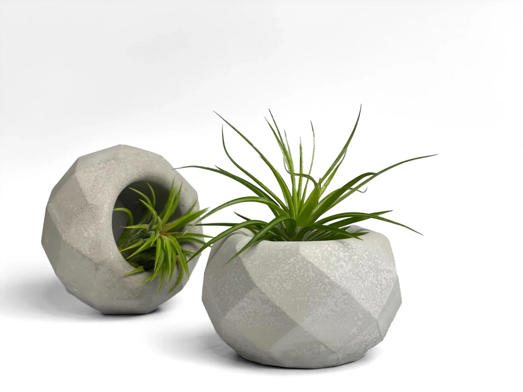 Glass Geometric Air Plant Holder with Unique Shape and Design, texture detail - House Of Avana