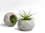 Glass Geometric Air Plant Holder with Unique Shape and Design, texture detail - House Of Avana