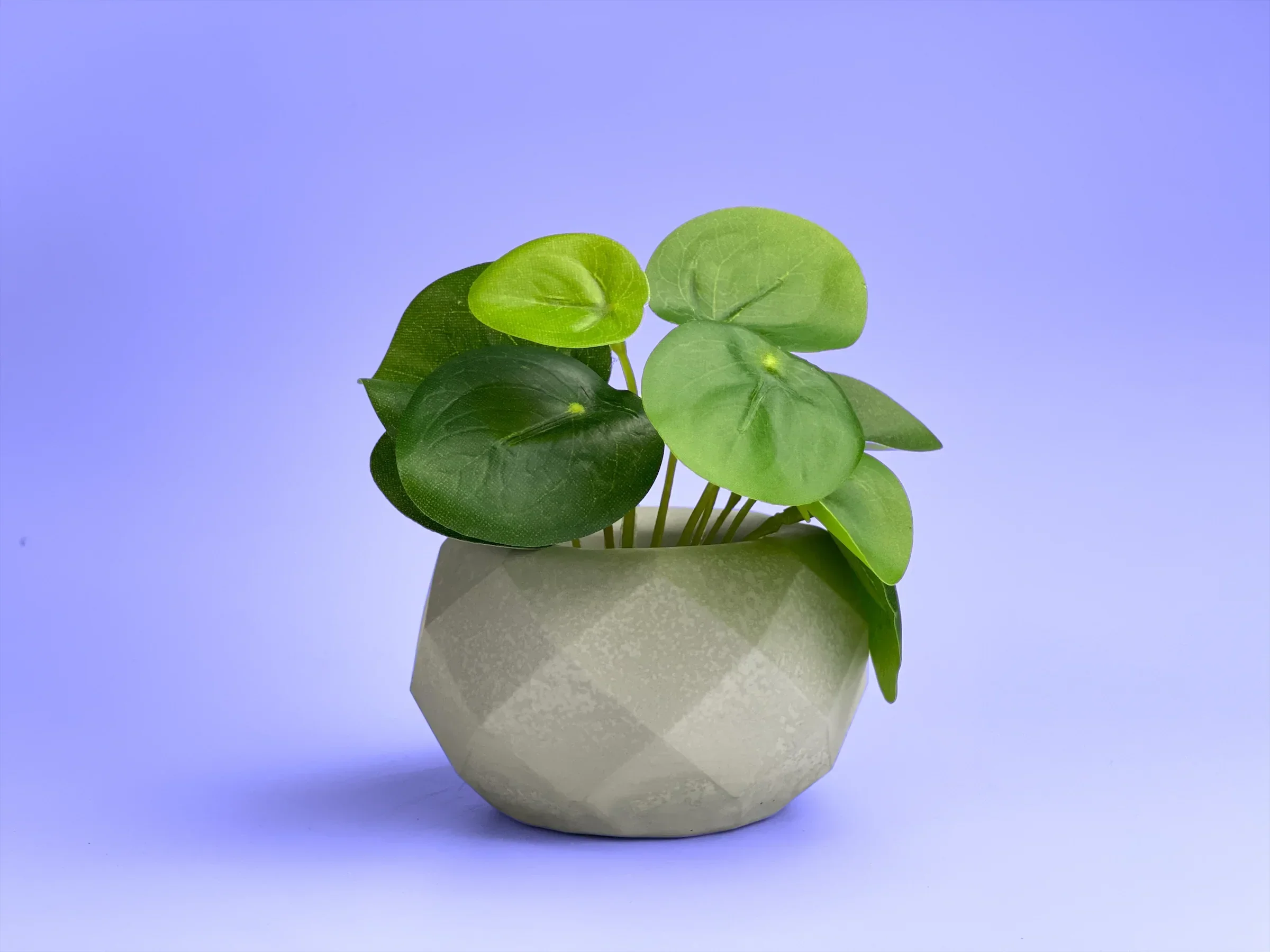 Glass Geometric Air Plant Holder with Unique Shape and Design, back view - House Of Avana