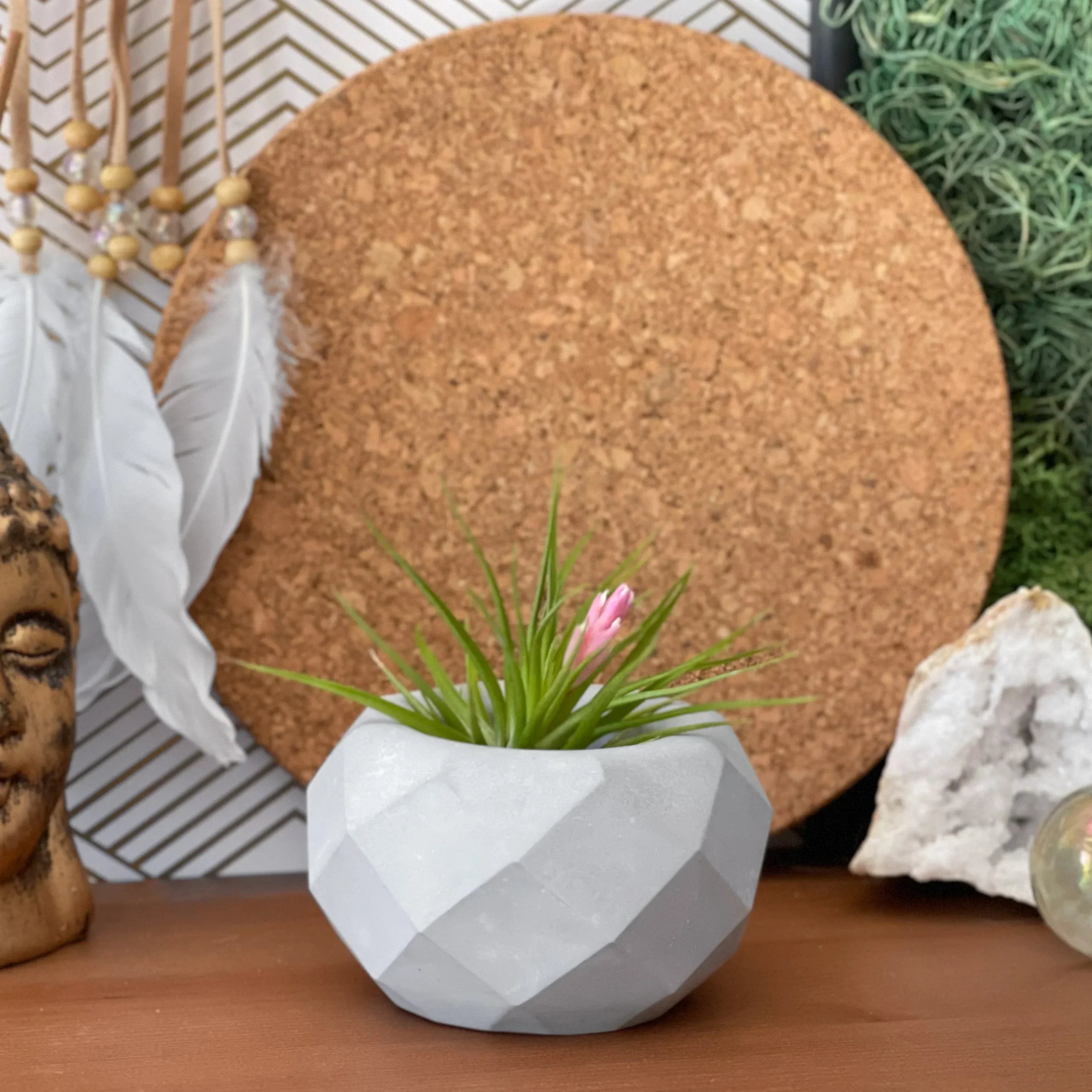 Geometric Air Plant Holder AURA 8 HOME