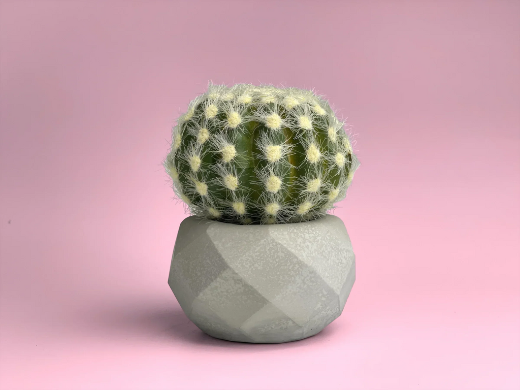 Glass Geometric Air Plant Holder with Unique Shape and Design, top view - House Of Avana
