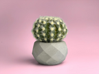 Glass Geometric Air Plant Holder with Unique Shape and Design, top view - House Of Avana