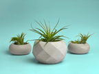 Glass Geometric Air Plant Holder with Unique Shape and Design, angled view - House Of Avana