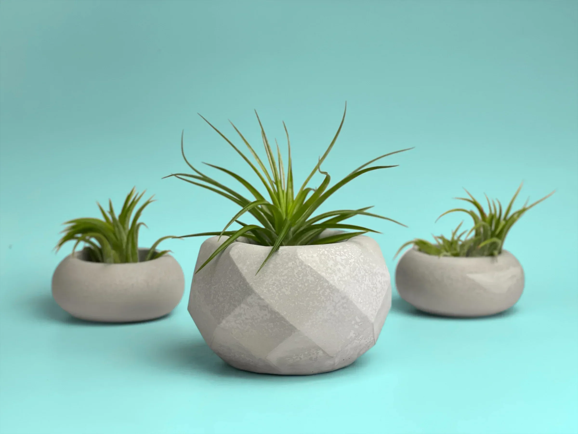 Glass Geometric Air Plant Holder with Unique Shape and Design, angled view - House Of Avana