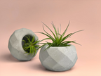 Glass Geometric Air Plant Holder with Unique Shape and Design, angled view - House Of Avana