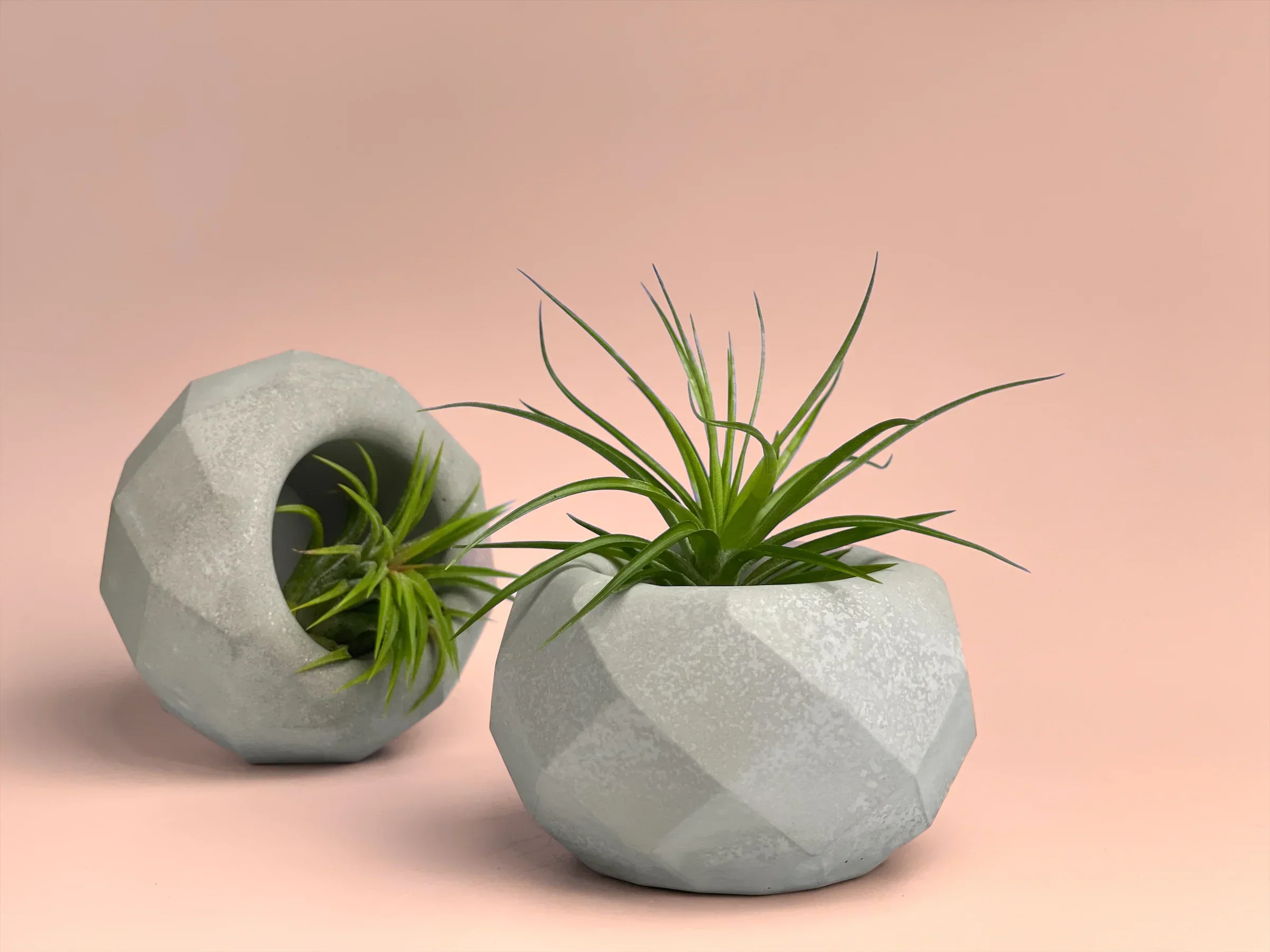Glass Geometric Air Plant Holder with Unique Shape and Design, angled view - House Of Avana