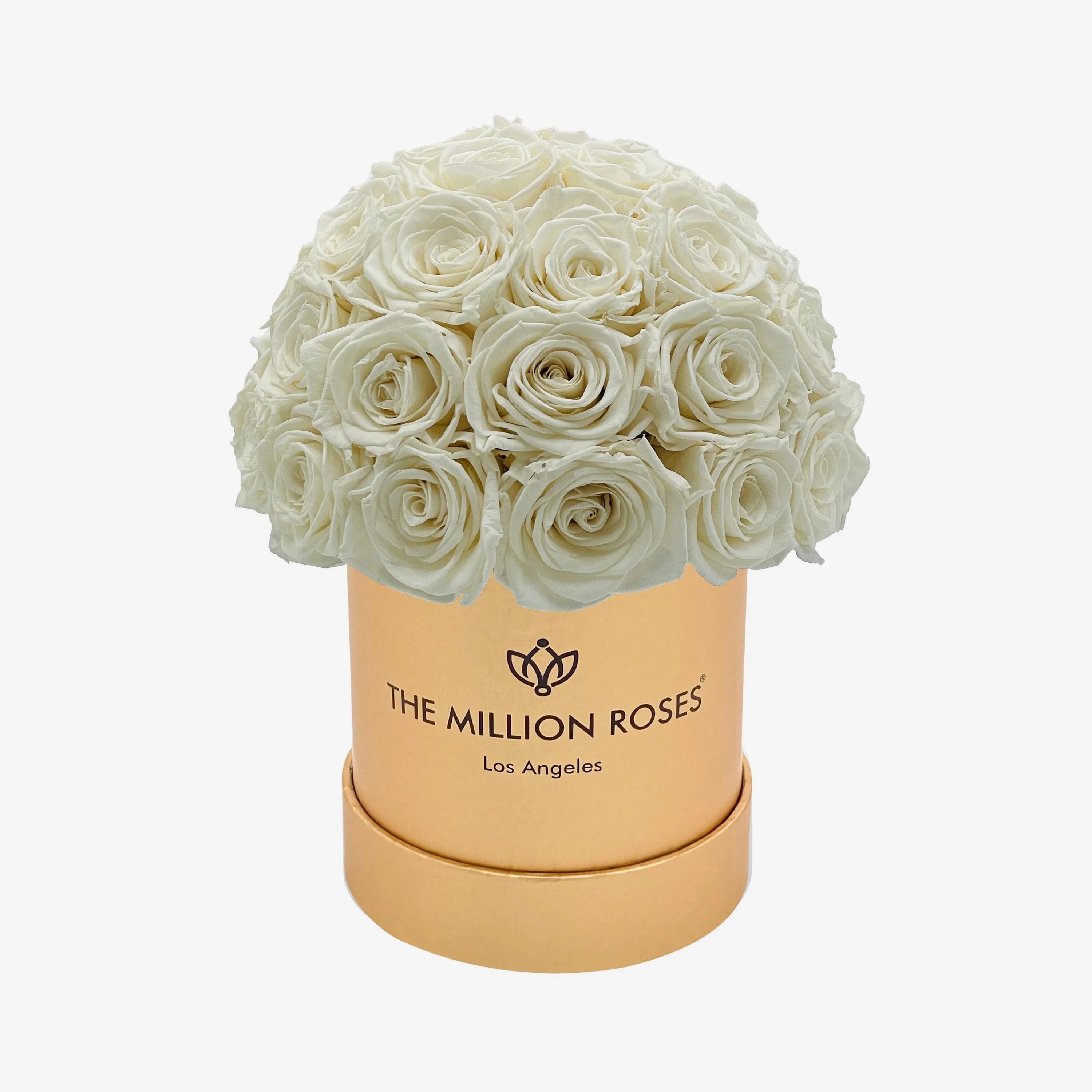 Gold Superdome Box with white roses, luxurious metal décor - House of Avana