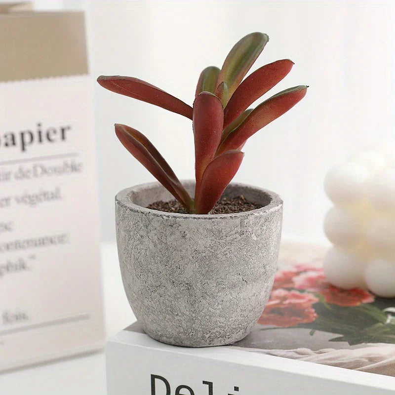 S Mini Artificial Succulent Set - Modern Plastic Faux Plants in Gray Concrete Pots for Home Decor,... - House Of Avana
