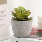 S Mini Artificial Succulent Set - Modern Plastic Faux Plants in Gray Concrete Pots for Home Decor,... - House Of Avana