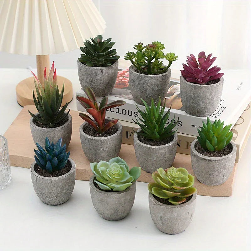 S Mini Artificial Succulent Set - Modern Plastic Faux Plants in Gray Concrete Pots for Home Decor,... - House Of Avana