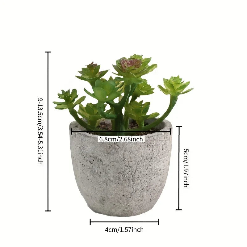 S Mini Artificial Succulent Set - Modern Plastic Faux Plants in Gray Concrete Pots for Home Decor,... - House Of Avana