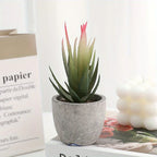 S Mini Artificial Succulent Set - Modern Plastic Faux Plants in Gray Concrete Pots for Home Decor,... - House Of Avana