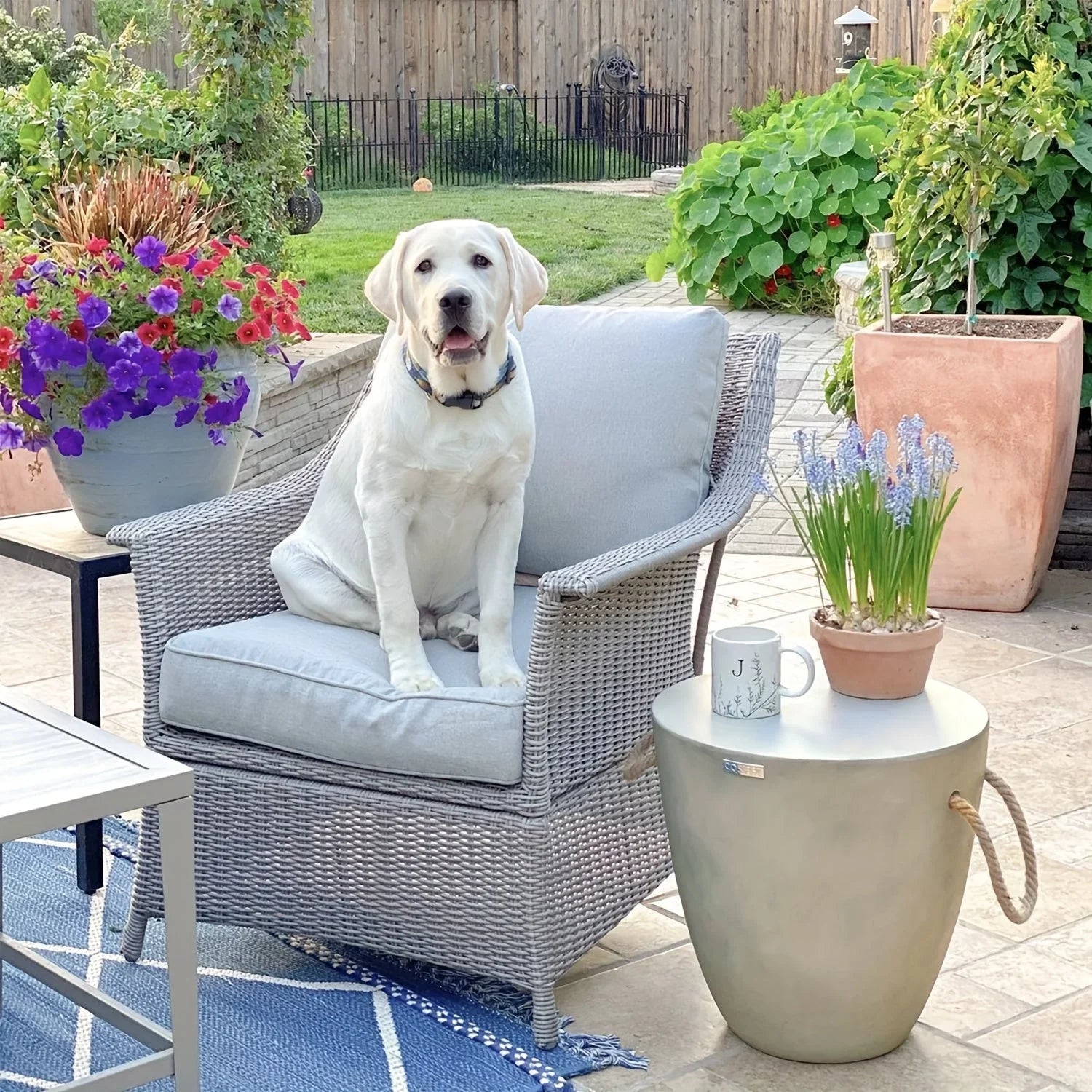 Concrete Outdoor End Table, 17'' Hemp Rope Side Table, Light Gray, Farmhouse Style, Modern Art Patio... - House Of Avana