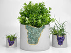 Green Apatite Inch Planter Ceramic Plant Container, top view - House Of Avana