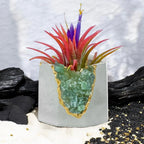 Green Apatite Geode Planter with Natural Stone Layers, front view - House Of Avana