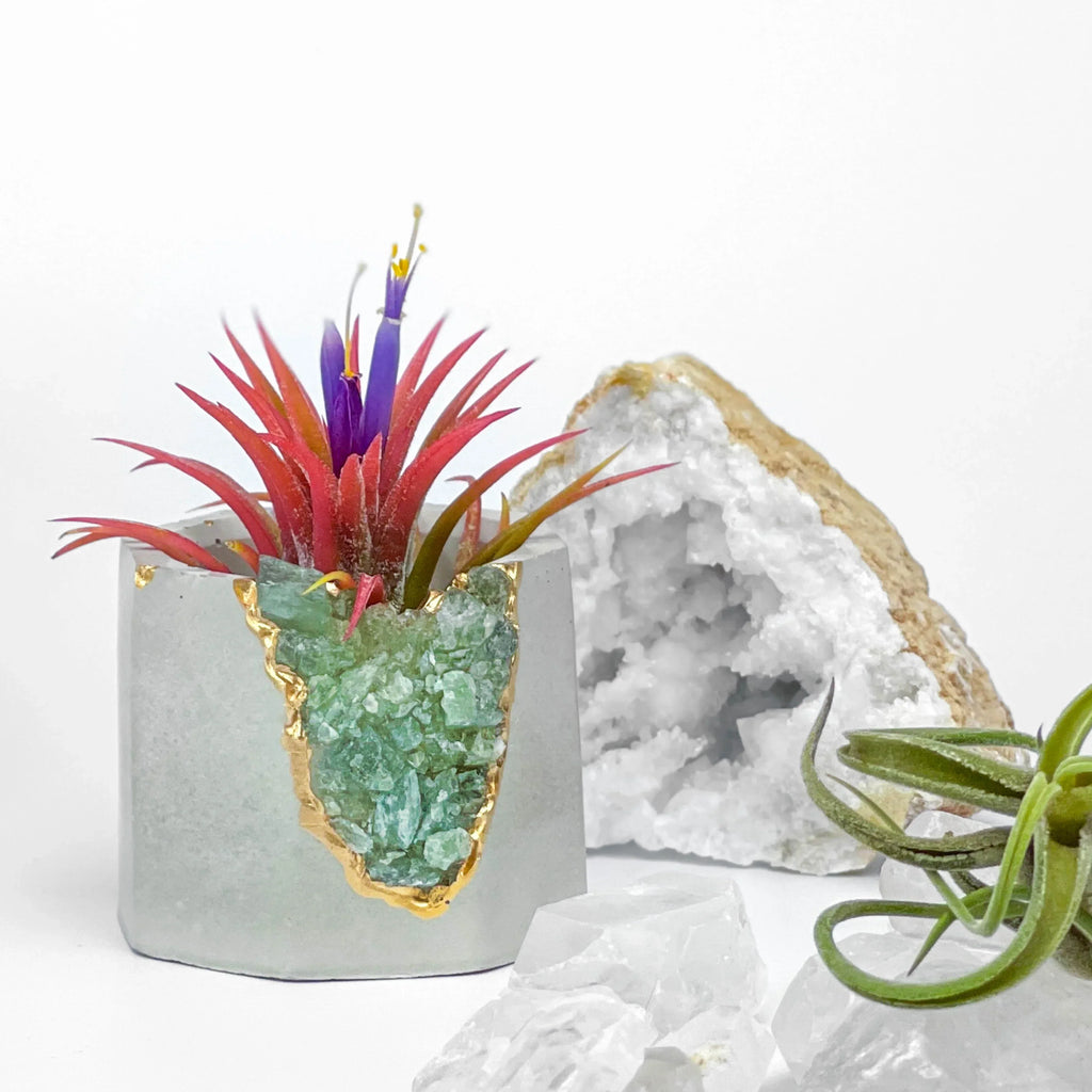 Green Apatite Geode Planter with Natural Stone Layers, detail shot - House Of Avana