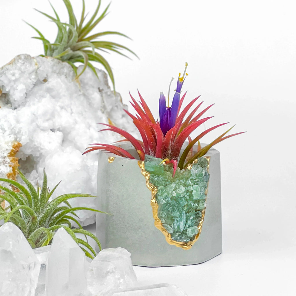 Green Apatite Geode Planter with Natural Stone Layers, lifestyle image - House Of Avana