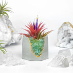 Green Apatite Geode Planter with Natural Stone Layers, top view - House Of Avana