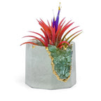 Green Apatite Geode Planter with Natural Stone Layers, angled view - House Of Avana