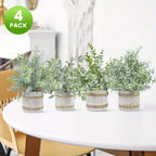 Potted Plants - Green Realistic Decor, front view - House Of Avana