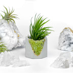 Green Peridot Geode Planter Box Natural Stone Home Decoration, close-up view - House Of Avana