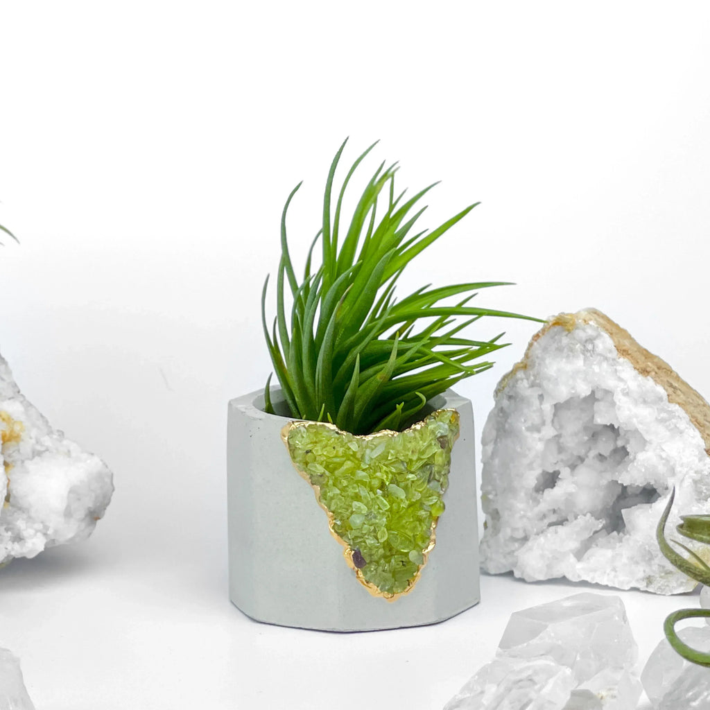 Green Peridot Geode Planter Box Natural Stone Home Decoration, back view - House Of Avana