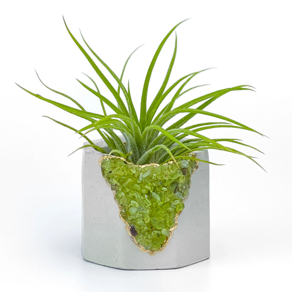 Green Peridot Geode Planter Box Natural Stone Home Decoration, top view - House Of Avana