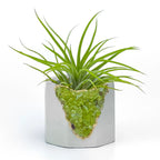 Green Peridot Geode Planter Box Natural Stone Home Decoration, top view - House Of Avana