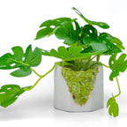 Green Peridot Geode Planter Box Natural Stone Home Decoration, angled view - House Of Avana