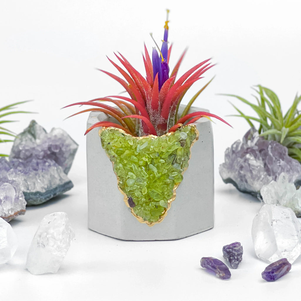 Green Peridot Geode Planter Box Natural Stone Home Decoration, angled view - House Of Avana