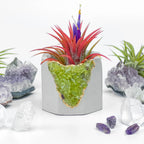 Green Peridot Geode Planter Box Natural Stone Home Decoration, angled view - House Of Avana