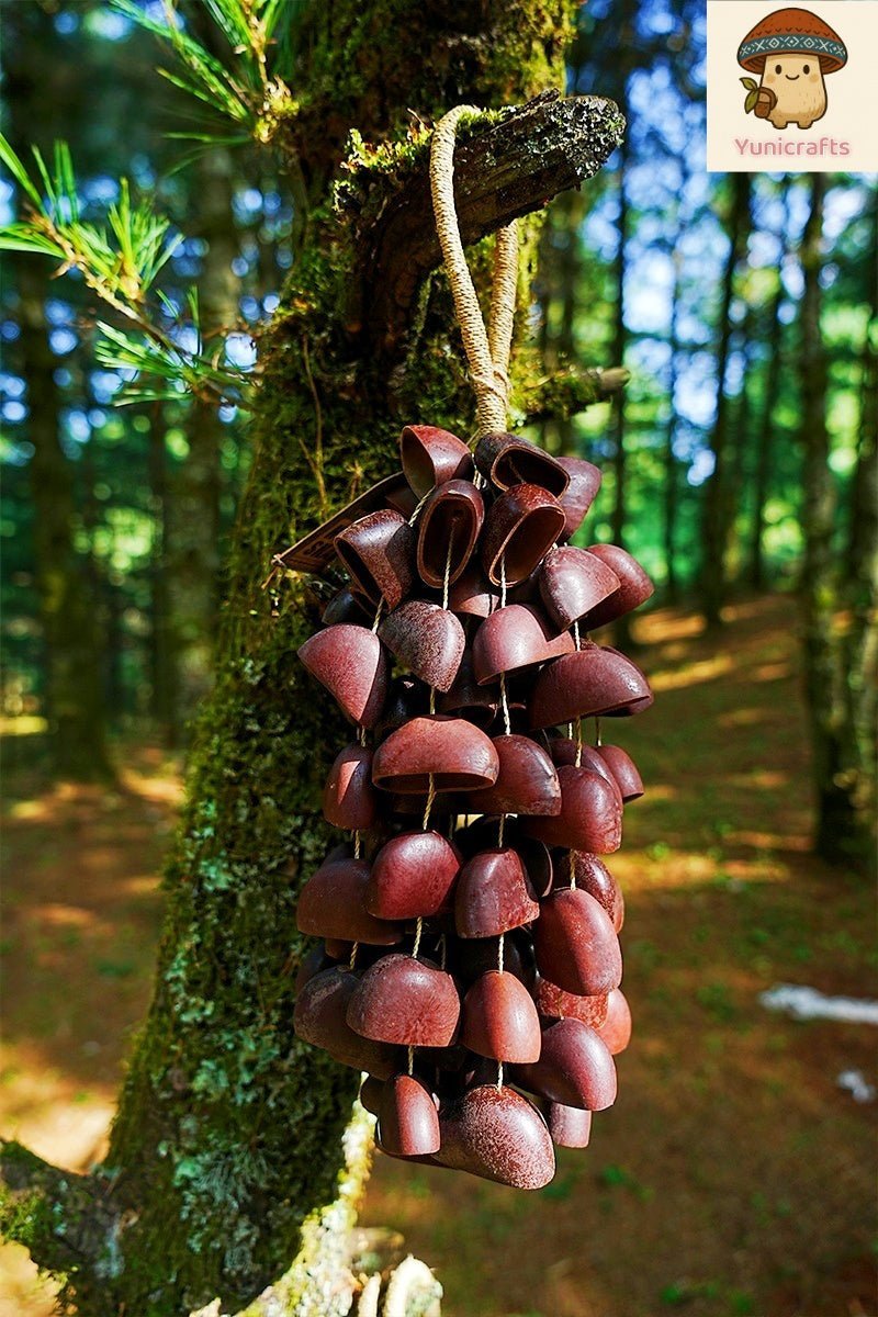Hand Bell | Juju Duckfoot Vine Seed Shaker