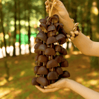 Hand Bell | Juju Duckfoot Vine Seed Shaker