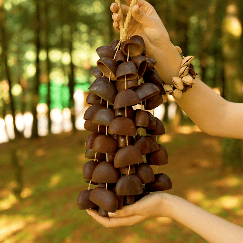 Hand Bell | Juju Duckfoot Vine Seed Shaker