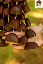 Hand Bell | Juju Duckfoot Vine Seed Shaker