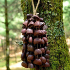Hand Bell | Juju Duckfoot Vine Seed Shaker