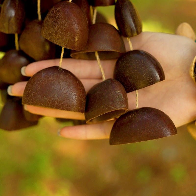 Hand Bell | Juju Duckfoot Vine Seed Shaker