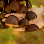 Hand Bell | Juju Duckfoot Vine Seed Shaker
