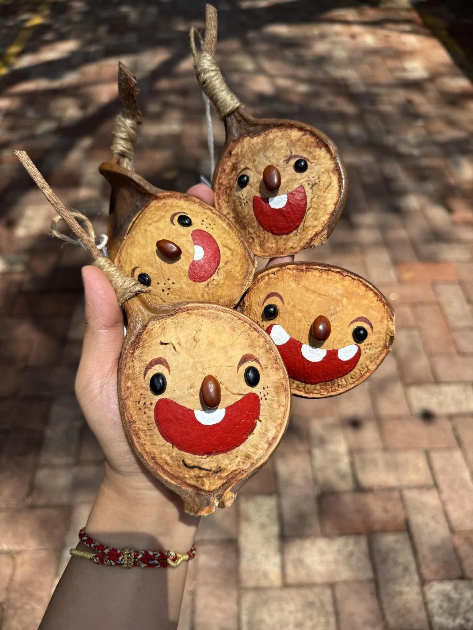 Hand-Painted Giant Entada Pod Ornament – World’s Largest Bean Wall Decor