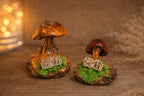 Handcrafted Real-Mushroom Fridge Magnets