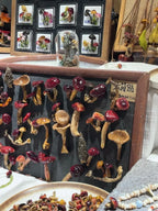 Handcrafted Real-Mushroom Fridge Magnets