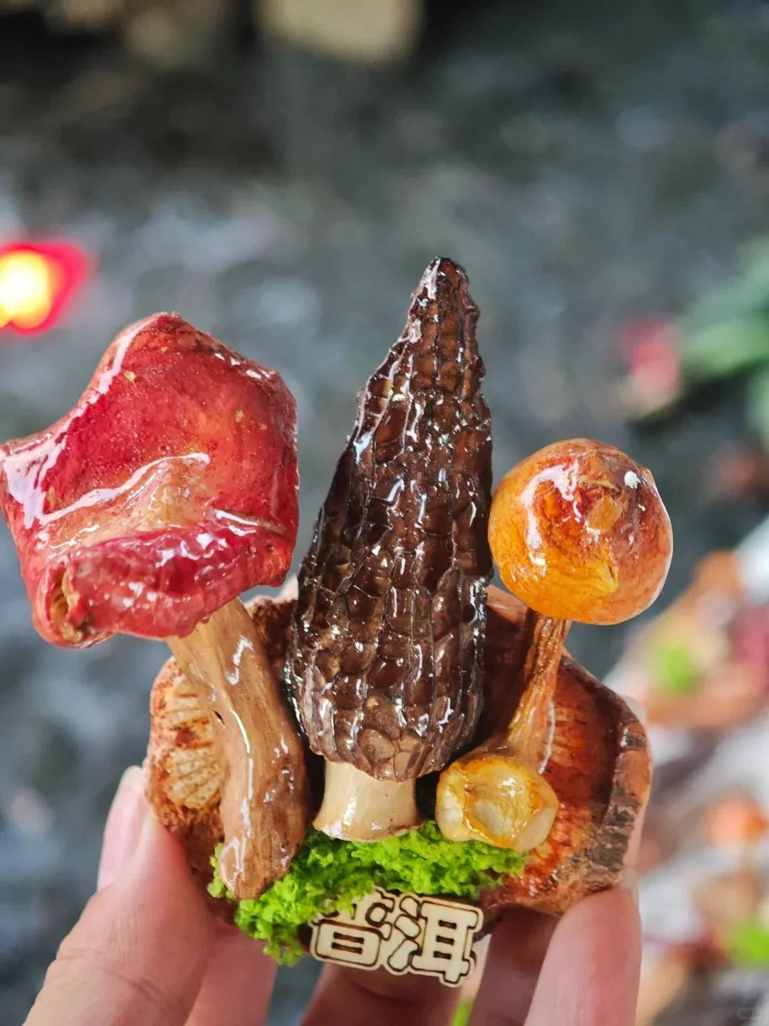 Handcrafted Real-Mushroom Fridge Magnets